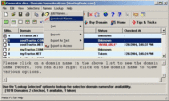 Domain Name - Analyzer & Generator screenshot